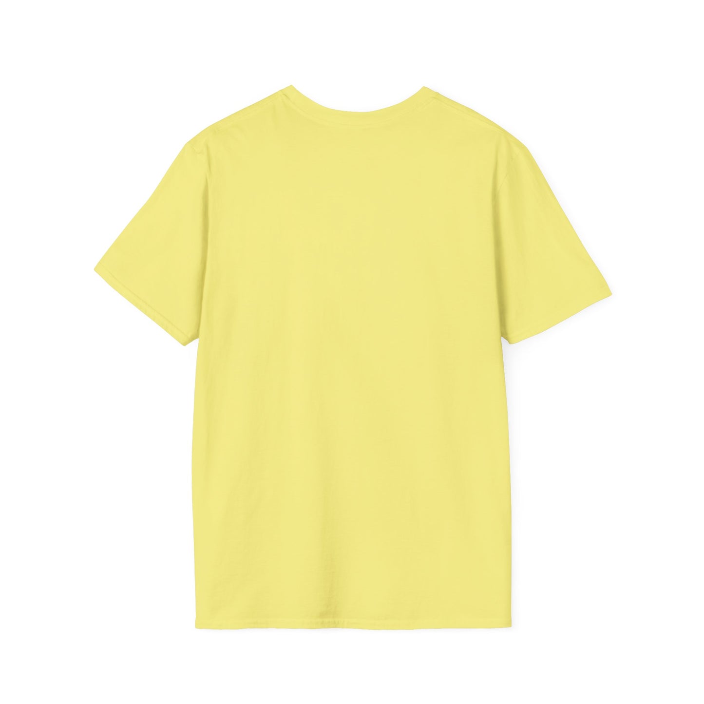 Workout T-shirt (LFT HVY SHT)