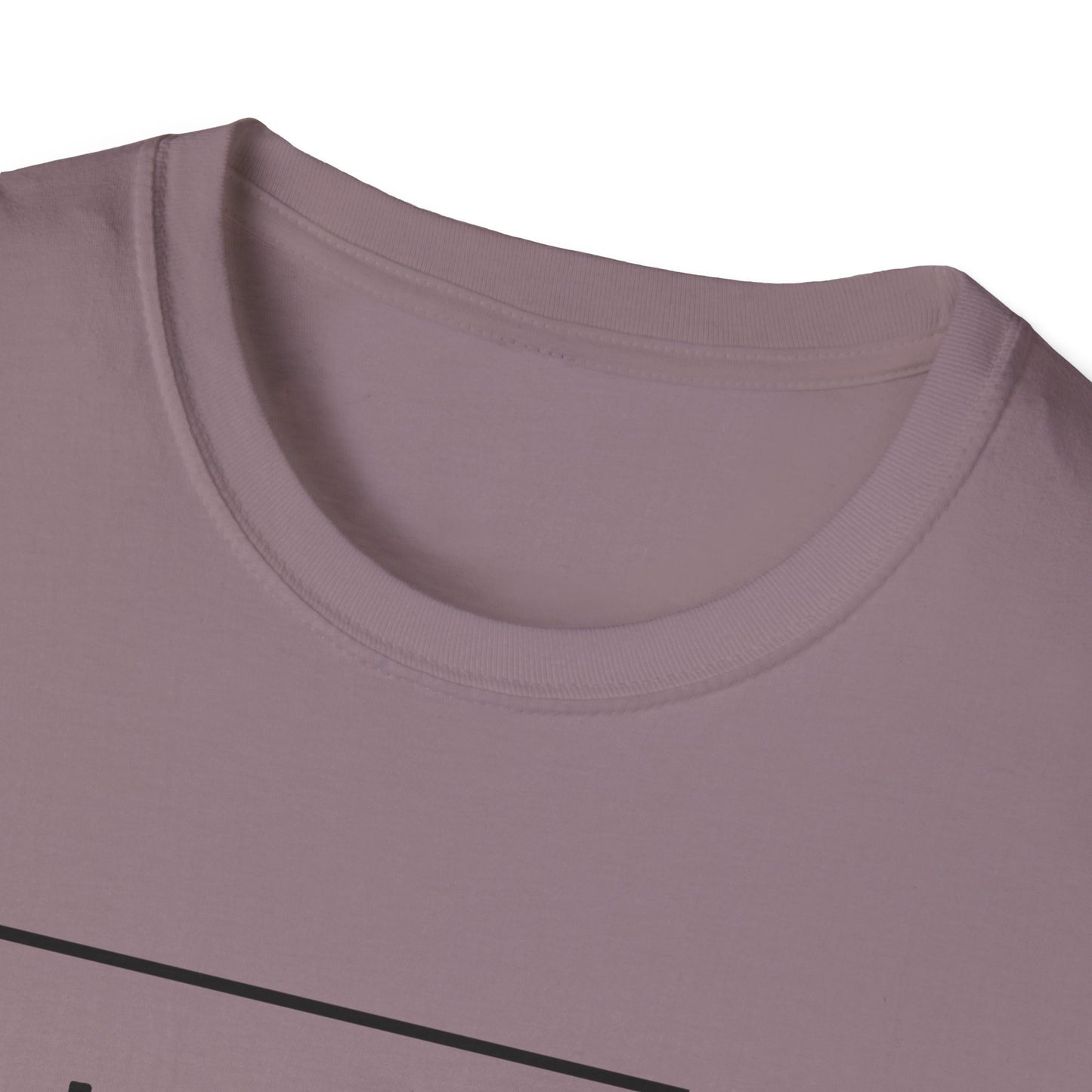 Workout T-shirt (LFT HVY SHT)