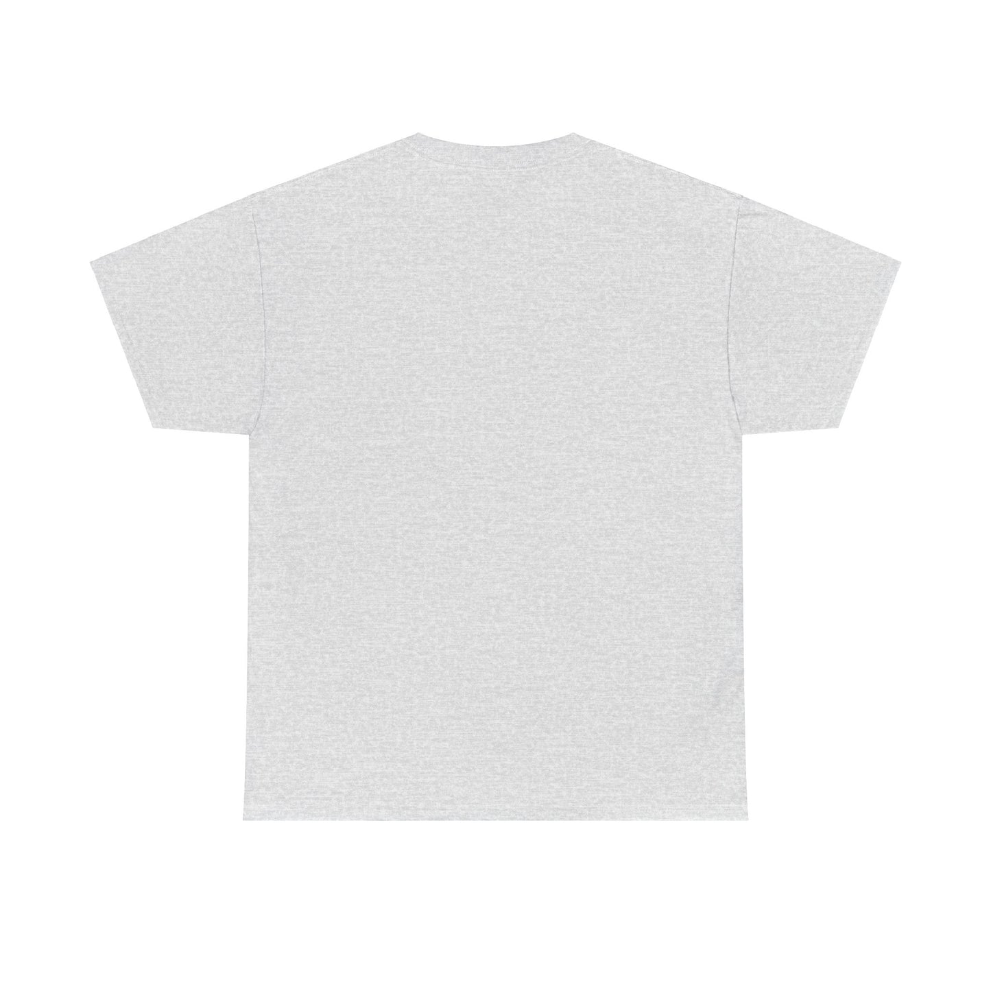 You VS You fitness T-shirt - Heavy Cotton Tee