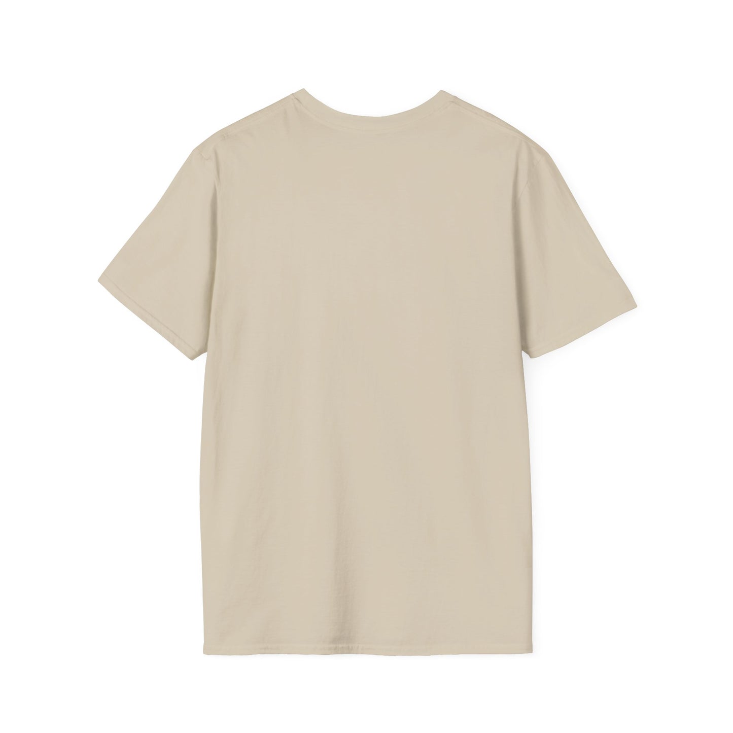 Workout T-shirt (LFT HVY SHT)