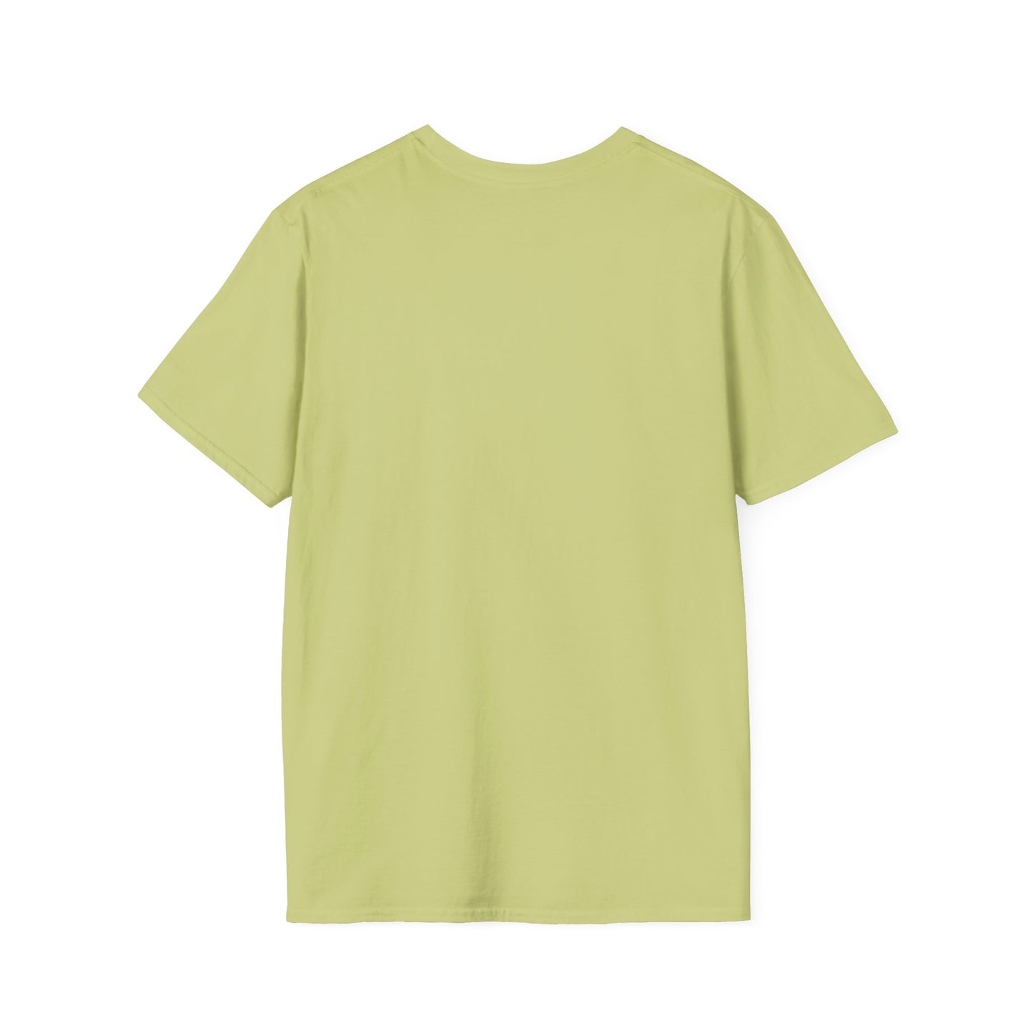 Workout T-shirt (LFT HVY SHT)