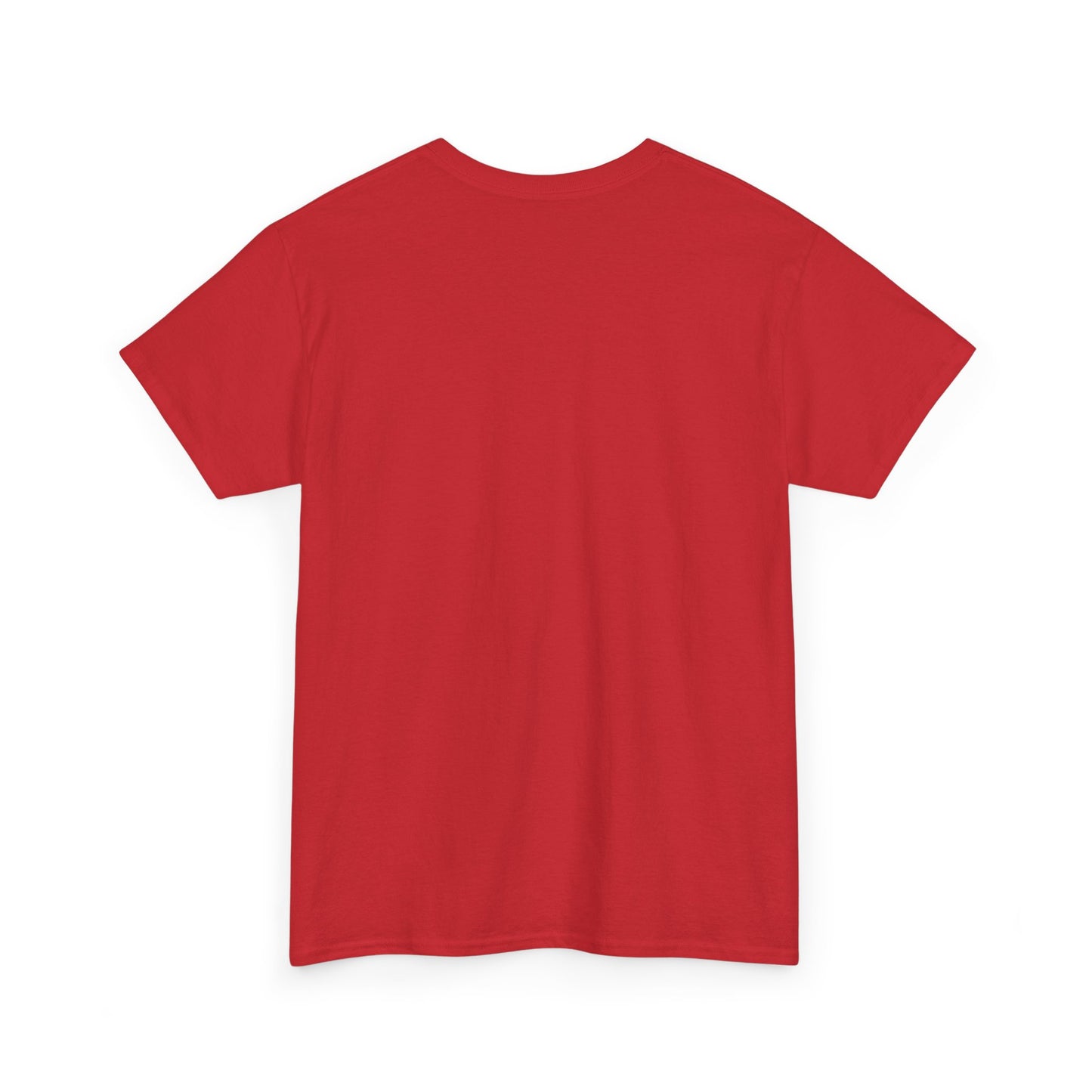 You VS You fitness T-shirt - Heavy Cotton Tee