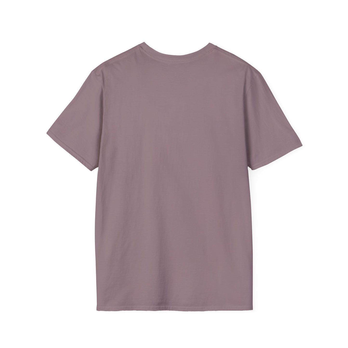 Workout T-shirt (LFT HVY SHT)