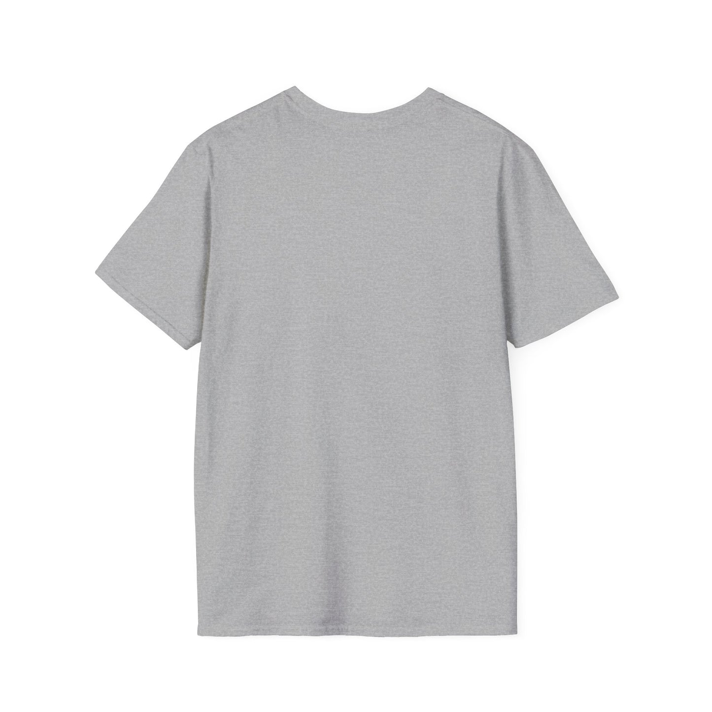 Workout T-shirt (LFT HVY SHT)