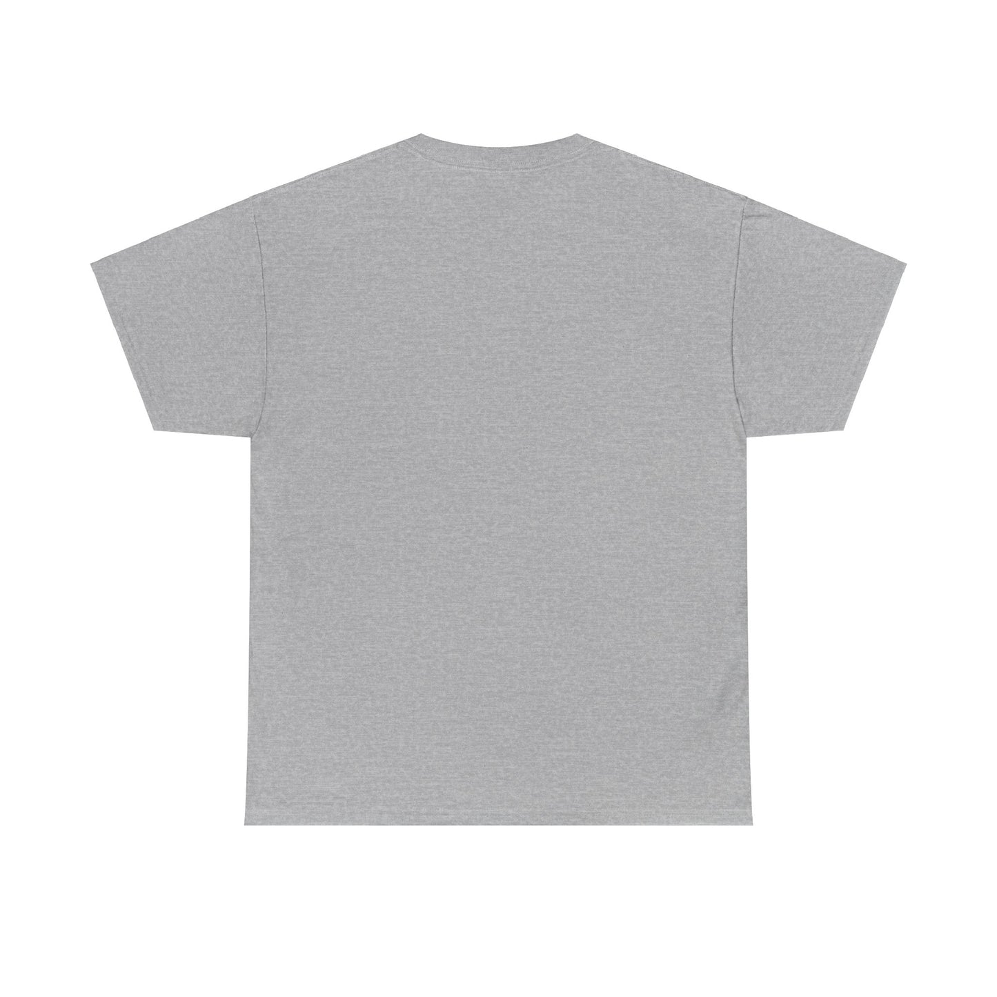 You VS You fitness T-shirt - Heavy Cotton Tee