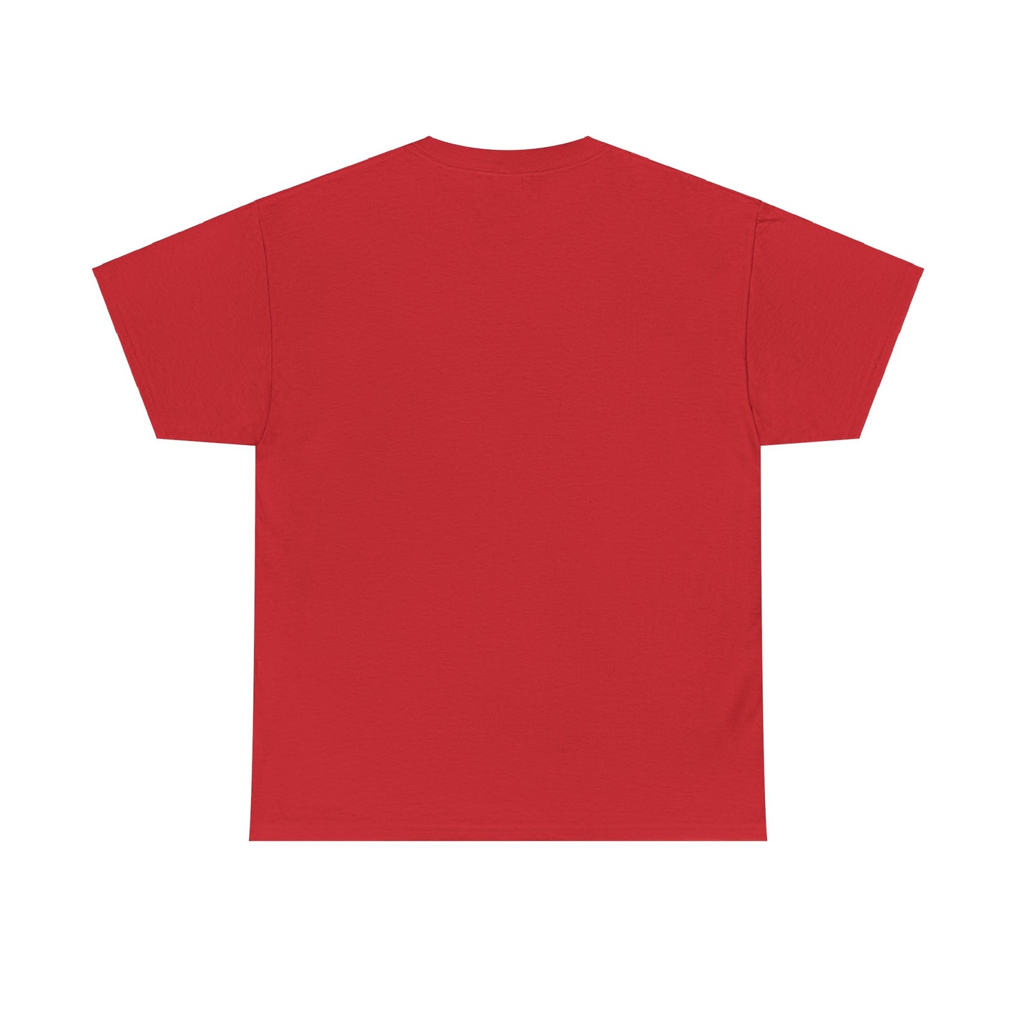 You VS You fitness T-shirt - Heavy Cotton Tee